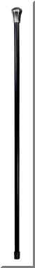 91ST City Stick.jpg (3510 bytes)